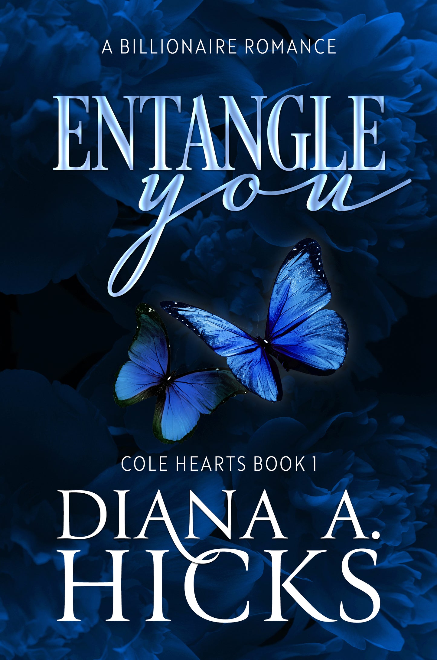 Entangle You: A Grumpy Sunshine Billionaire Romance
